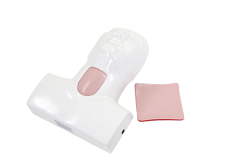 環(huán)狀軟骨氣管切開(kāi)術(shù)訓練模型